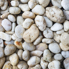 white stone texture background