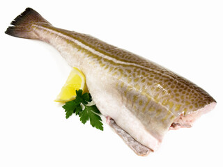 Cod Fish on white Background - Isolated