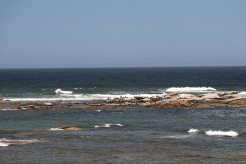 Spring morning on the wild beach.