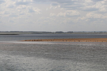 Partial view of the Garzon Lagoon