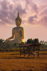 Wat Muang big buddha