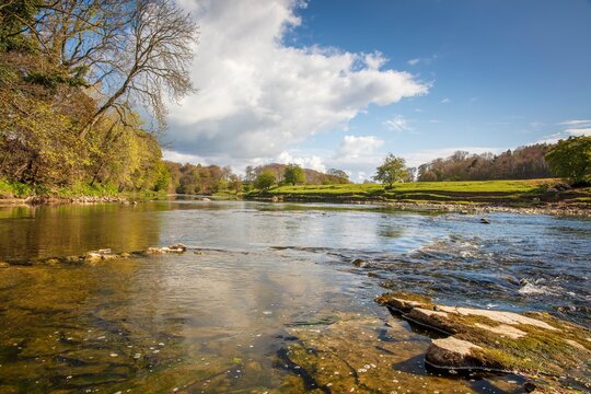 River Ribble, Hurst Green.