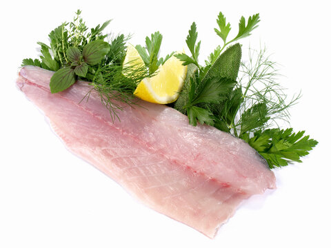 Anarhichadidae Bilder Durchsuchen 892 Archivfotos, und