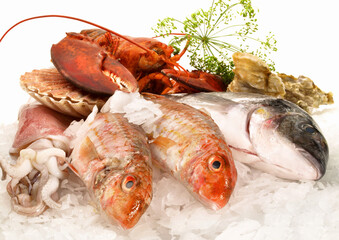 Seafood and Fish on white Background - Isolated