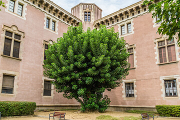 Old Seminary (Seminari Conciliar de Barcelona) building. Barcelona, Catalunya, Spain.