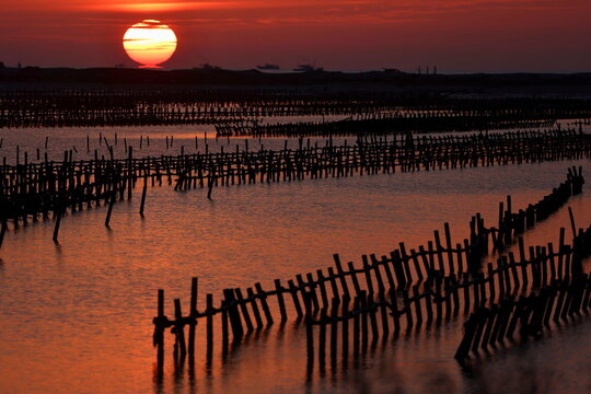 The Sun sets at an oyster farm in Tainan