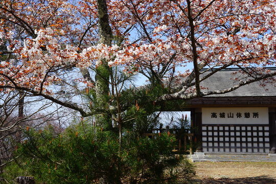 高城山展望台images Browse 177 Stock Photos Vectors And Video Adobe Stock