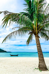 Naklejka na ściany i meble Tropical beach with Coconut Palm trees on white sandy beach at koh lipe satun thailand