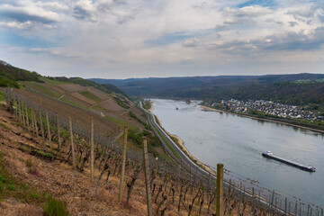 Naturaufnahme in der Umgebung von Koblenz