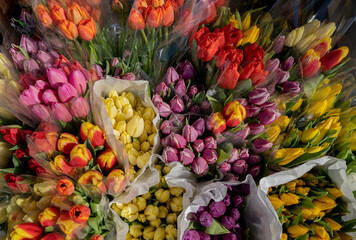 Tulips bouquets in the market