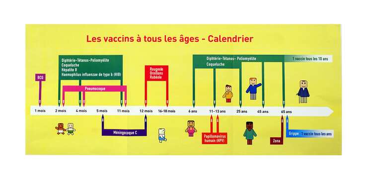 calendrier des vaccinations
