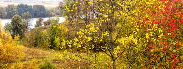 Golden autumn in the forest near the river. Colorful autumn trees