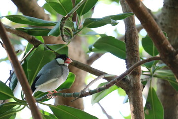 福島県いわき市のアクアマリンふくしま