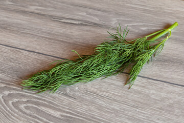 A sprig of a fresh dill, closeup, isolated.