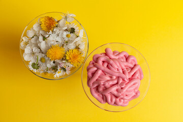  emulsions for cosmetic creams