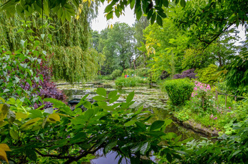 Fototapeta premium GIVERNY LILY POND