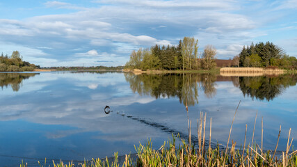 Scottish Loch in early morning Sunshine