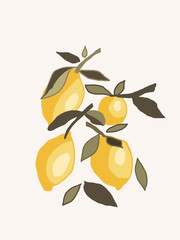 Lemon fruit line drawing on gentle color background