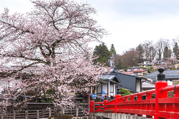 210404中橋桜Z109
