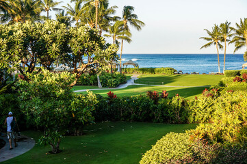 Obraz premium HAWAIIAN garden