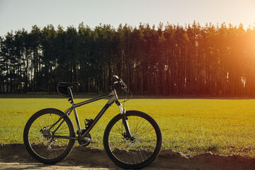 Outdoor biking during spring evening. Sport and adventure on the mountain bike. Green grass meadow and pine forest.