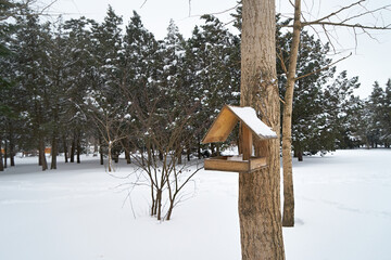 City park covered with snow.