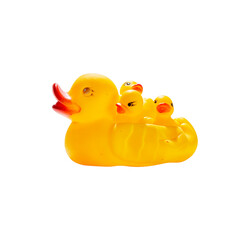 Mily of yellow toy ducklings on white background