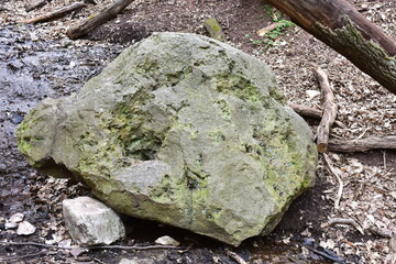 stone of devil in Nature reserve Krumlovsko rokytenske slepence in Czech republic
