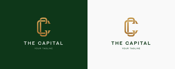 Premium style gold C letters logo symbol on the green background. Modern luxury brand element sign. Vector illustration