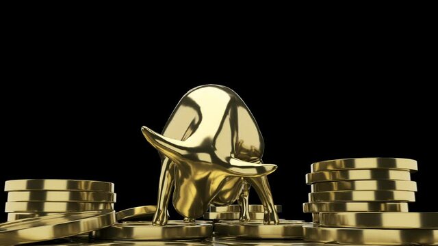 golden bull is goring like Madly on the pile of gold coins. bullish market trend in stocks. Stock Marketing and Financial Investment concept.  3d animation.