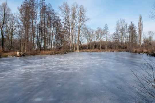 frozen pond in winter