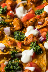 Homemade Indian Chicken Tikka Masala Nachos