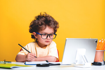 Smart kid boy sitting at his desk with laptop computer. Pupil with pencil in hand drawing isolated...