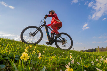 Fototapeta na wymiar pretty mid age woman riding her electric mountain bike in early springtime in the Allgau mountains near Oberstaufen, in warm evening light with blooming spring flowers in the Foreground