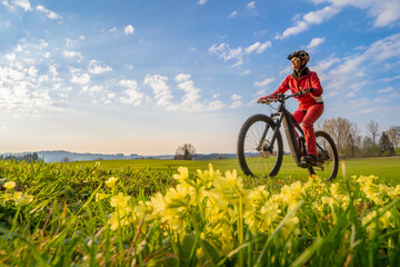 Obraz na płótnie Canvas pretty mid age woman riding her electric mountain bike in early springtime in the Allgau mountains near Oberstaufen, in warm evening light with blooming spring flowers in the Foreground