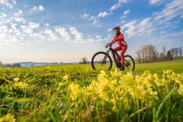 Obraz na płótnie Canvas pretty mid age woman riding her electric mountain bike in early springtime in the Allgau mountains near Oberstaufen, in warm evening light with blooming spring flowers in the Foreground