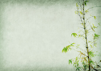 bamboo on old grunge paper texture background