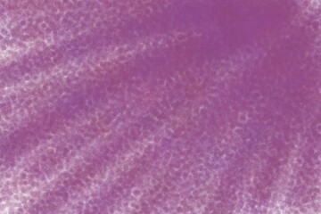 The background is burgundy, rich, bright color with a radial pattern