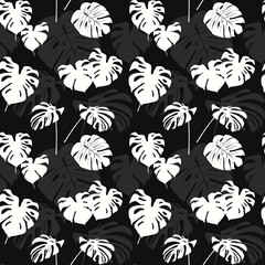 White silhouettes of monstera leaves on a dark background. Seamless monochrome pattern