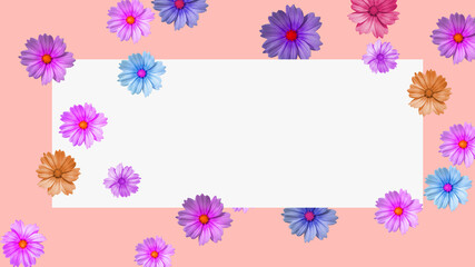 isolated flower card decoration on solid background