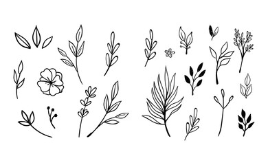 Hand drawn floral elements. Swirls, laurels, arrows, leaves, flowers and branches. Doodle botanical elements.