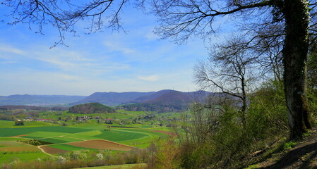 weite schöne Aussicht vom Berg Achalm auf  Felder und Wald umrahmt von Baum im Frühling