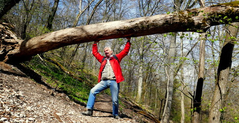aktiver Senior stemmt aus Spaß umgestürzten Baum nach oben auf einem Waldweg