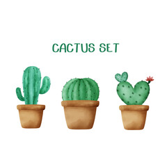 Watercolor hand drawn cactus set.