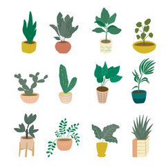 Houseplants set. Design elements, for stickers, icons, for gliders, for printing. Vector flat illustration. Isolated.