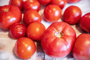 group of fresh, boiled red tomatos on a table, waiting for beeing peeled