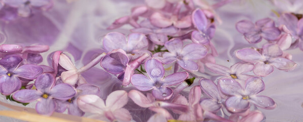 Lilac flower heads floating on the water, lilac background, macro