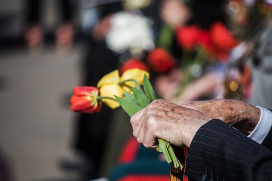 the hands of an old war veteran hold flowers. red carnations as a gift for a military holiday in honor of the winners of the Second World War. patriotic holiday victory day. congratulations to the old