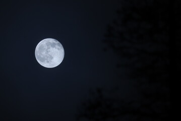 Obraz na płótnie Canvas Full moonlight. Taken in Swedish Lapland.