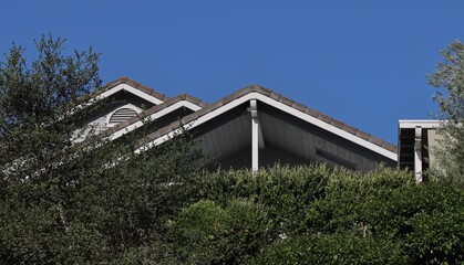beautiful three rooftop peaks mountain house with landscape